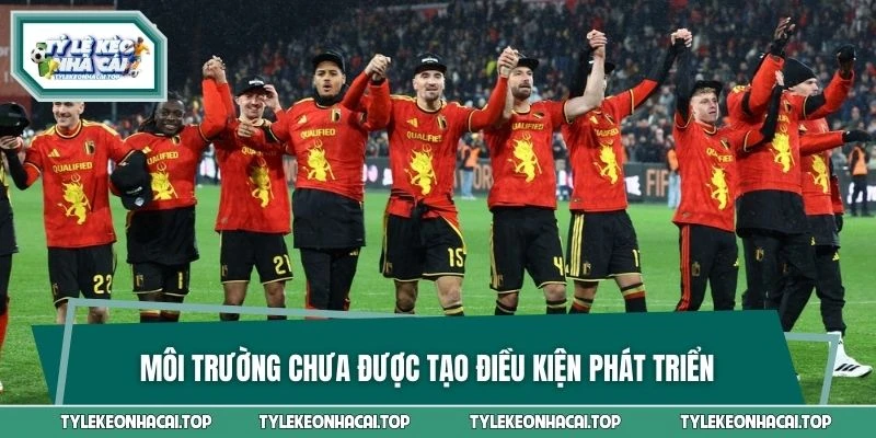 Môi trường chưa được tạo điều kiện phát triển